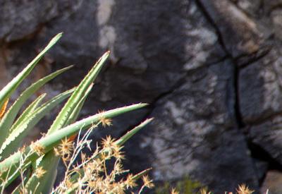 Images of BullsPort Rock Arch