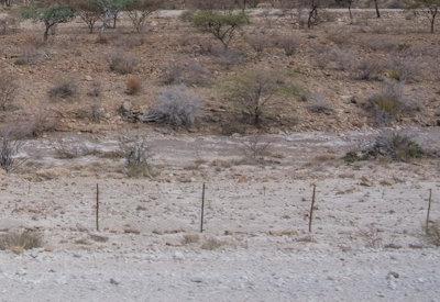 BullsPort Rock Arch Photos