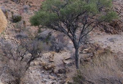 Images of BullsPort Rock Arch