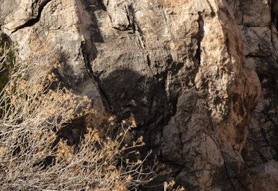 Images of BullsPort Rock Arch