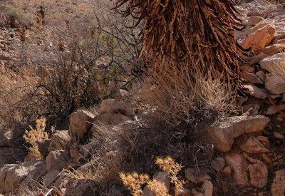 Images of BullsPort Rock Arch