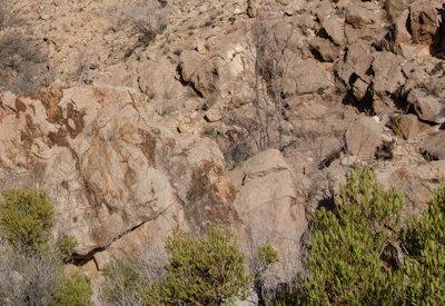 Images of BullsPort Rock Arch