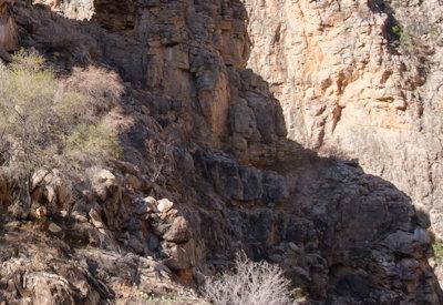 Images of BullsPort Rock Arch