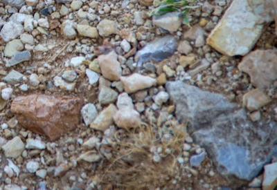 Images of BullsPort Rock Arch