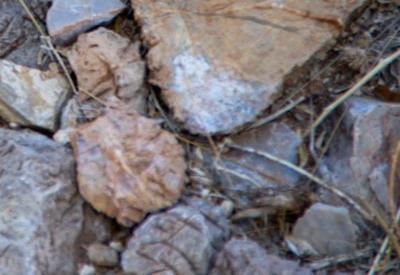Images of BullsPort Rock Arch