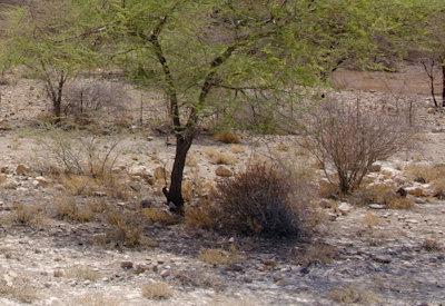 BullsPort Rock Arch Photos