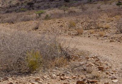 BullsPort Rock Arch Photos