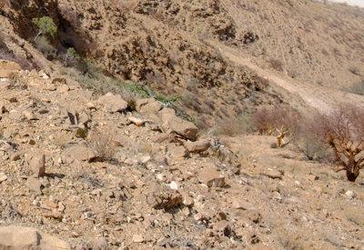 BullsPort Rock Arch Photos