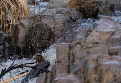 Images Of Epupa Falls