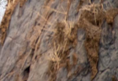 Images Of Epupa Falls