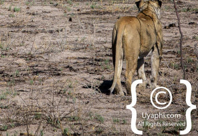 Images Of Etosha