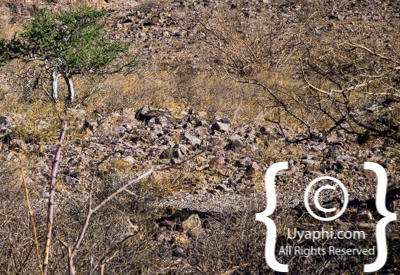 Images Of The Fish River Canyon