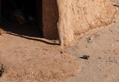 Himba Village Photos
