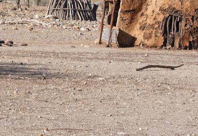 Himba Village Photos