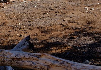 Images Of A Himba Village