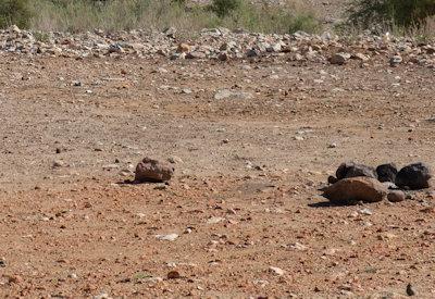 Images Of A Himba Village