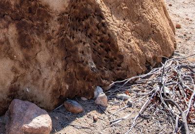 Images Of A Himba Village