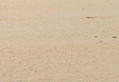 Hoanib River Valley Photos