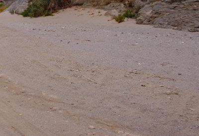 Hoanib River Valley Photos