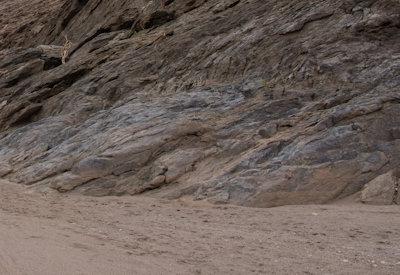 Hoanib River Valley Photos