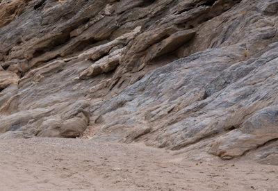 Hoanib River Valley Photos
