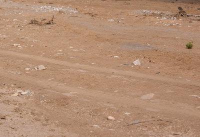 Hoanib River Valley Photos