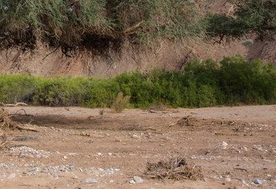 Images Of Hoanib River Valley