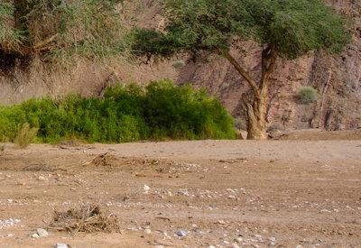 Images Of Hoanib River Valley