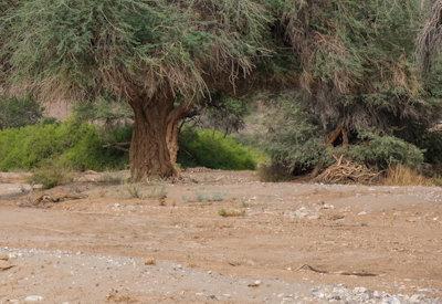 Images Of Hoanib River Valley