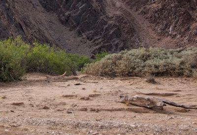 Images Of Hoanib River Valley