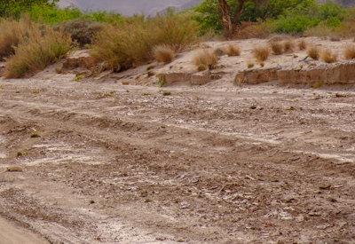 Images Of Hoanib River Valley