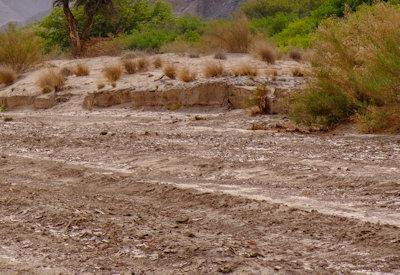 Images Of Hoanib River Valley