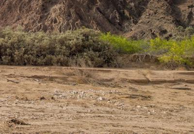 Images Of Hoanib River Valley