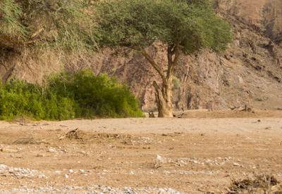 Images Of Hoanib River Valley