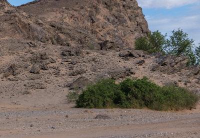 Images Of Hoanib River Valley
