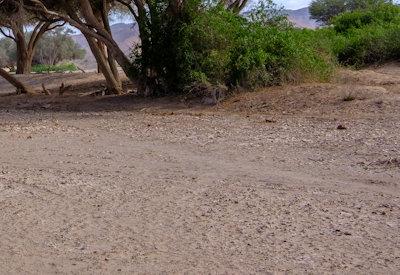 Images Of Hoanib River Valley