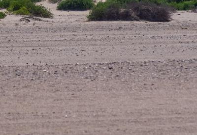 Images Of Hoanib River Valley