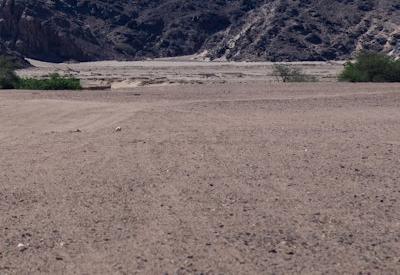 Images Of Hoanib River Valley