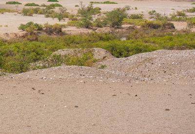 Hoanib River Valley Photos