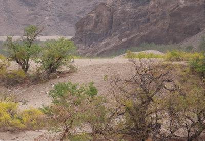 Hoanib River Valley Photos