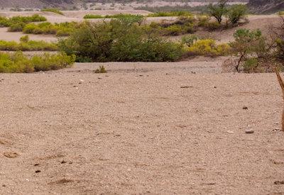 Hoanib River Valley Photos