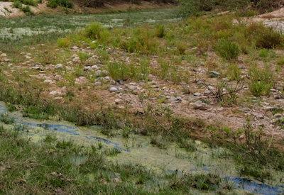 Images Of Hoarusib River Valley