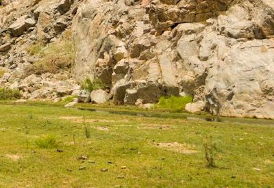 Images Of Hoarusib River Valley