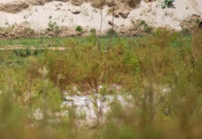 Images Of Hoarusib River Valley