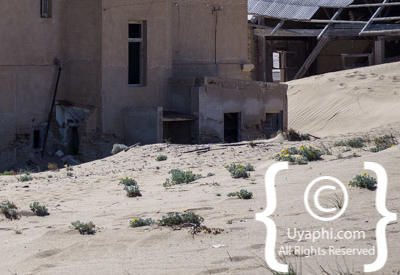 Kolmanskop Photos