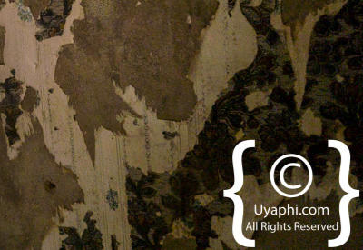 Images Of Kolmanskop