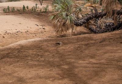 Images Of The Kunene River