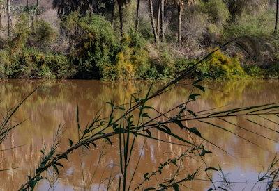 Images Of The Kunene River
