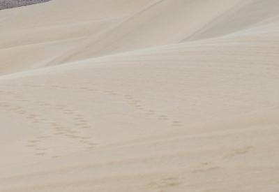 Images Of The Kunene River