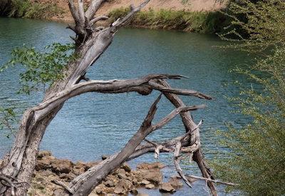 Kunene River Photos